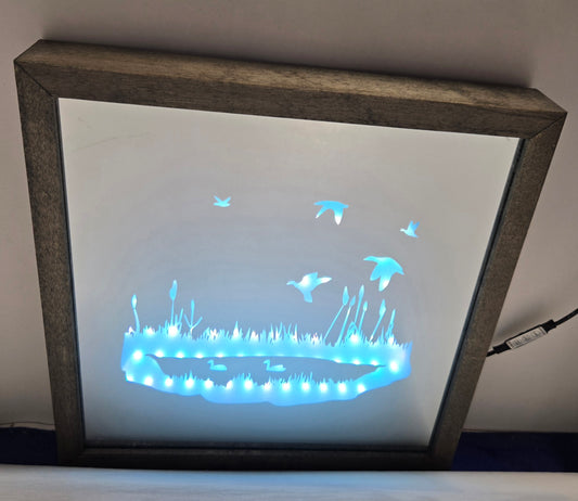 Duck Pond Mirror Light Box