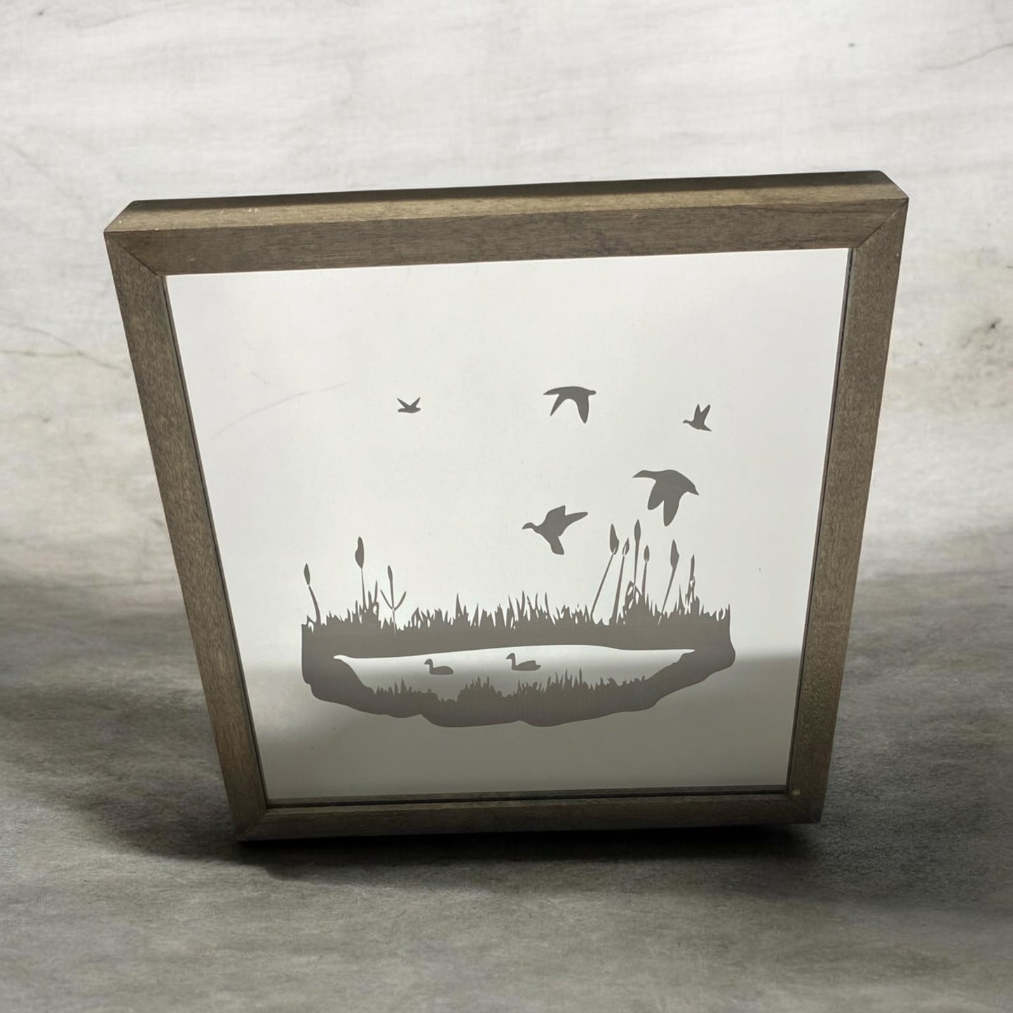 Duck Pond Mirror Light Box