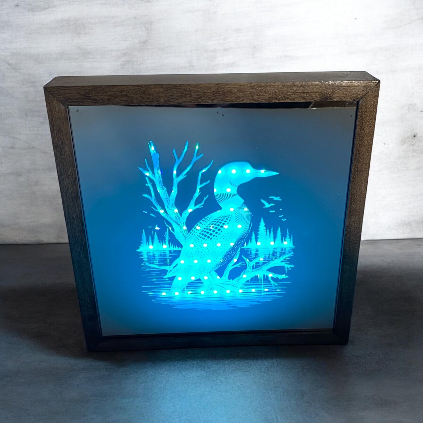 Loon Mirror Light Box